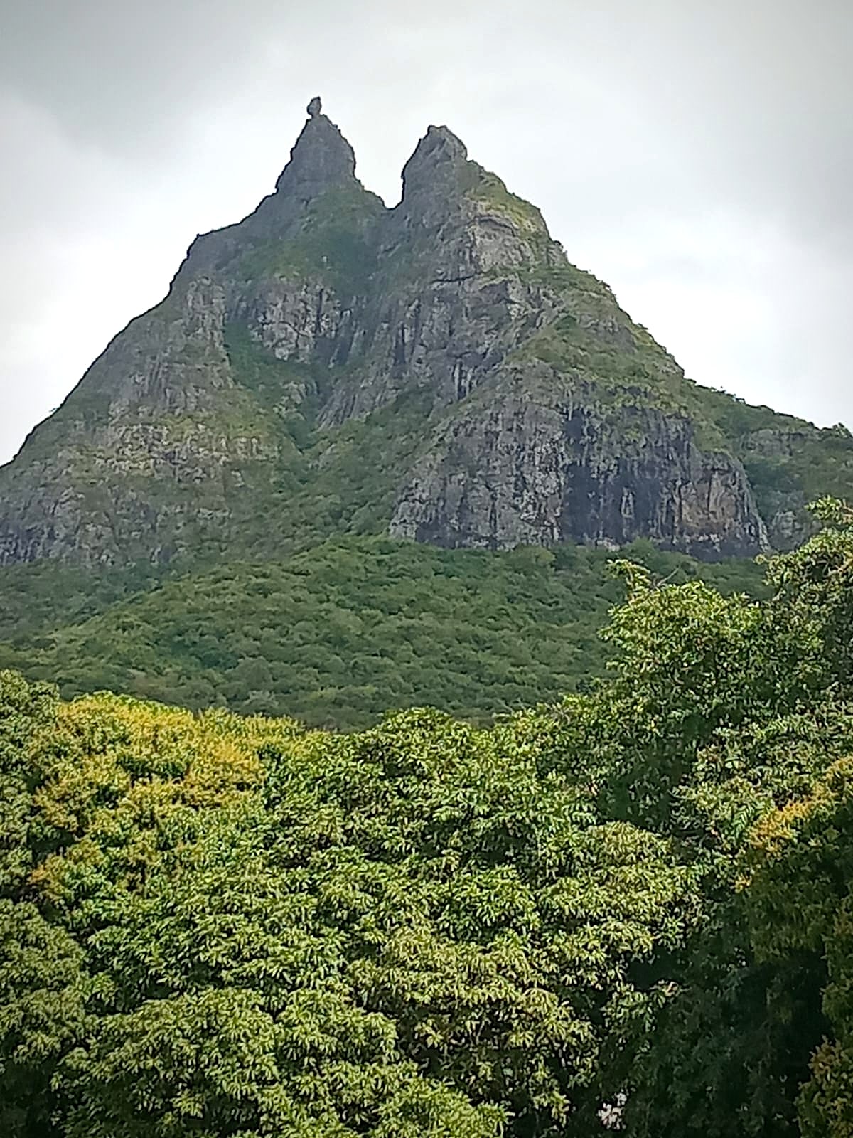 Close view of the Pieter Both summit rock